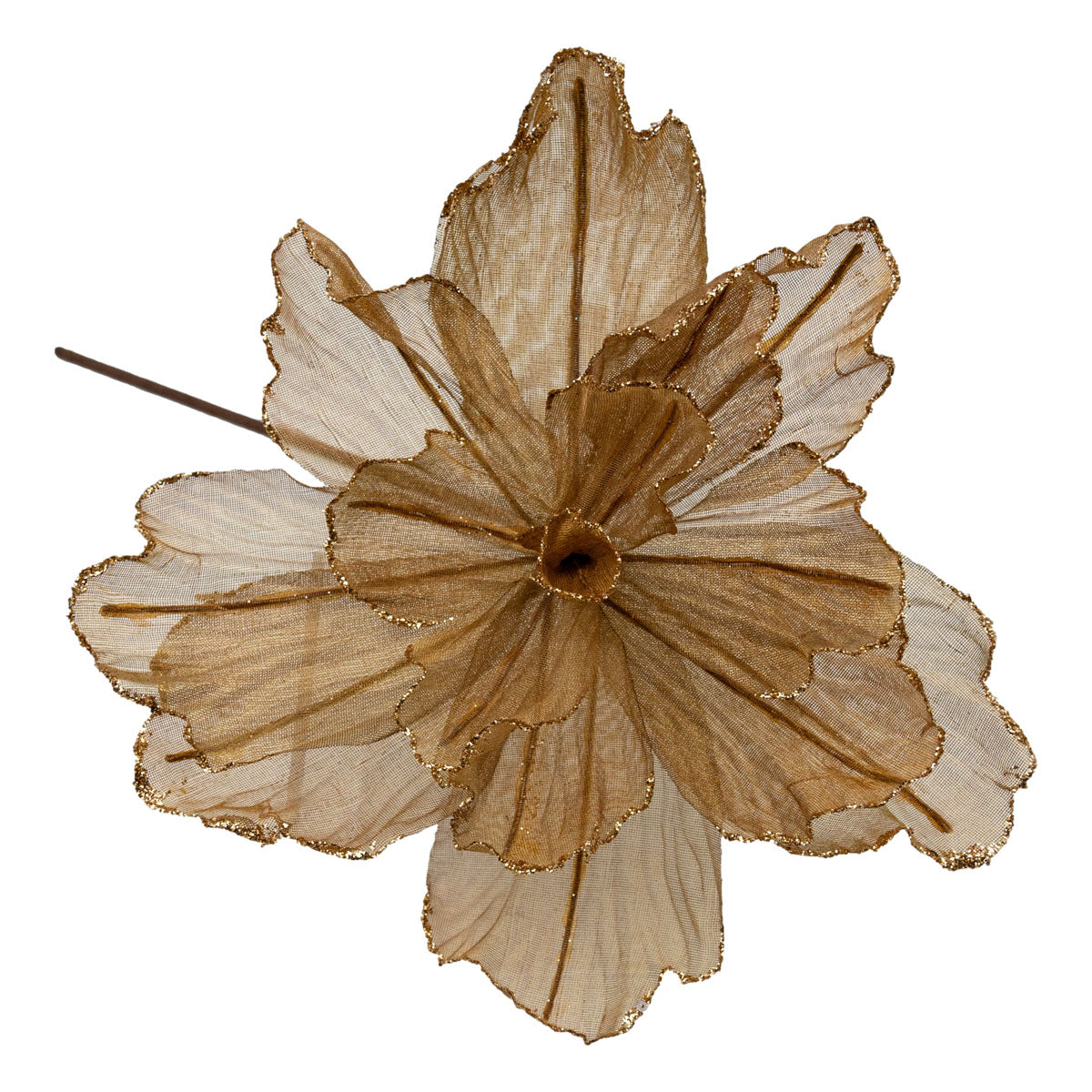 Taupe Sheer Gold Edge Christmas Flower
