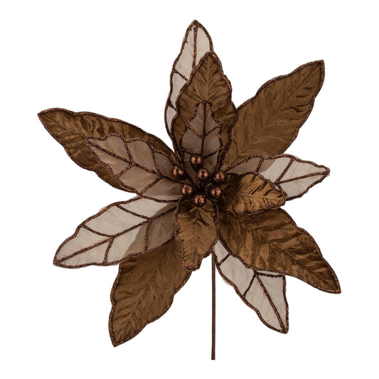 Brown Poinsettia Christmas Flower