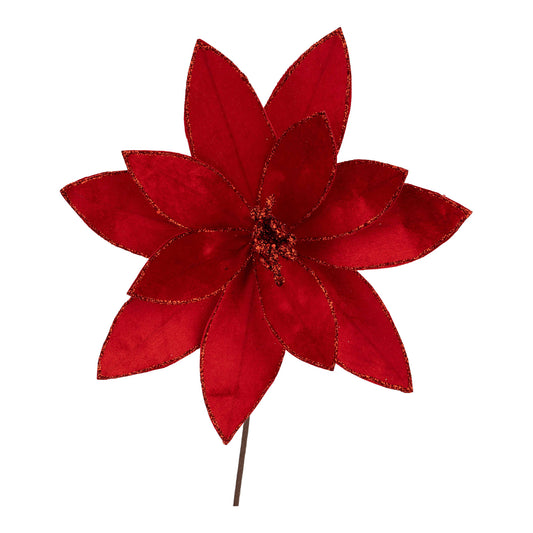 Red velvet Christmas poinsettia flower