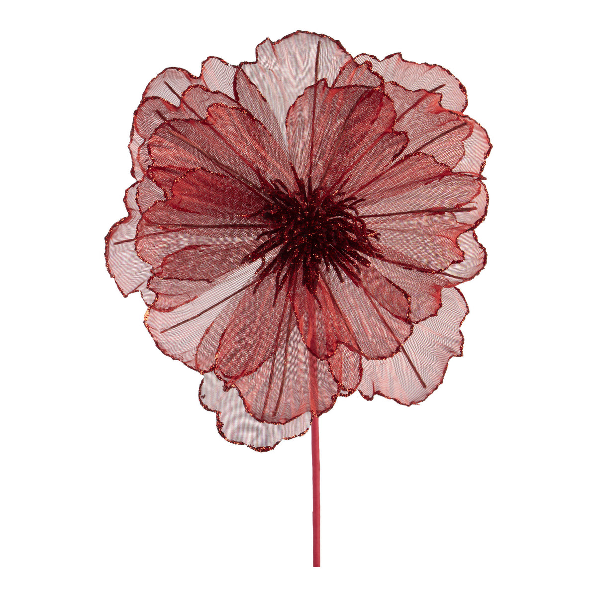 Red Sheer Christmas Flower