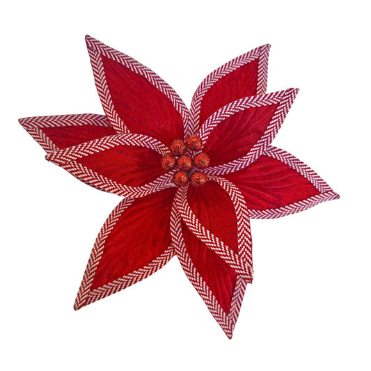 Red White Poinsettia Christmas Flower