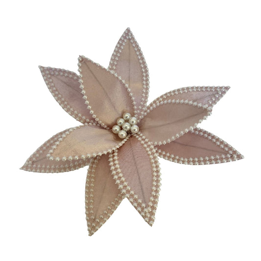 Pink Christmas poinsettia flower
