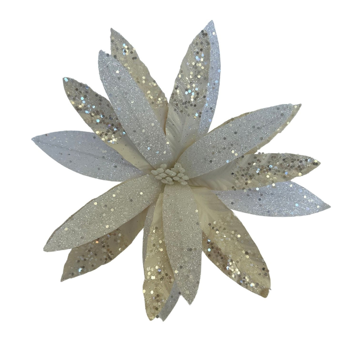 White Poinsettia Christmas Flower