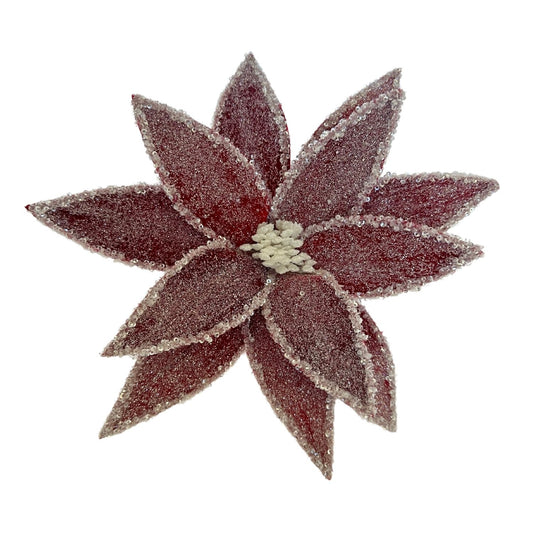 Red Iced Poinsettia Christmas Flower