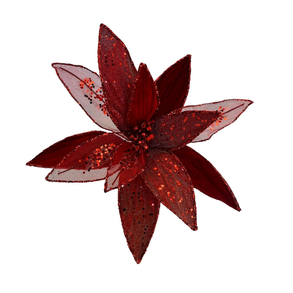 Red Christmas poinsettia flower