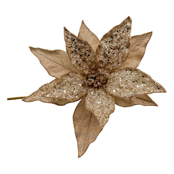 Peach Poinsettia Christmas Flower