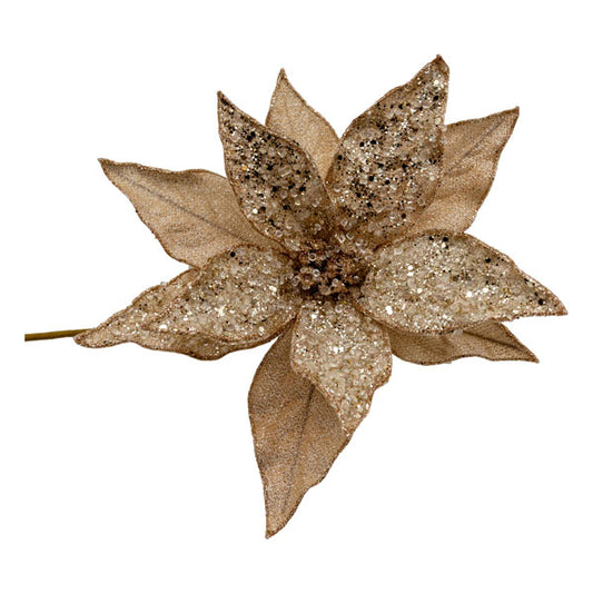 Peach Poinsettia Christmas Flower