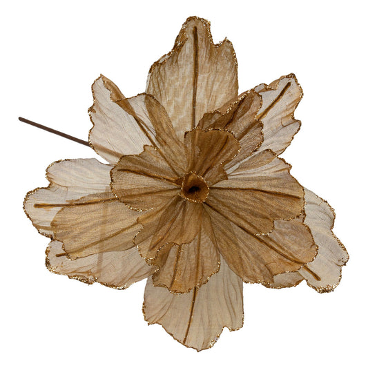 Taupe Sheer Gold Edge Christmas Flower