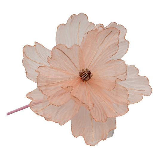 Rose sheer Christmas flower with gold edge